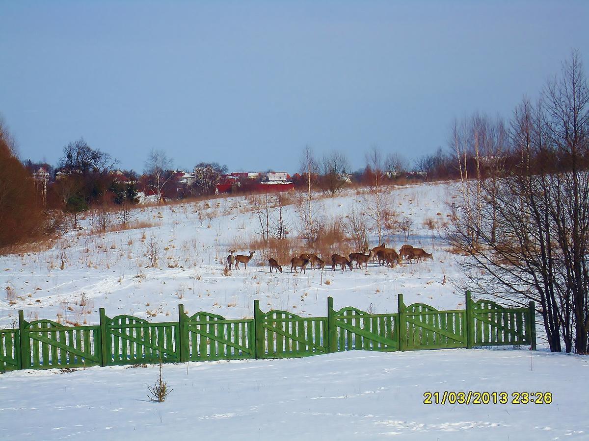 Mazurska Chata Jezioro I Aquapark 6 Min, Centrum I Promenada 12 Min Mikołajki Exterior foto